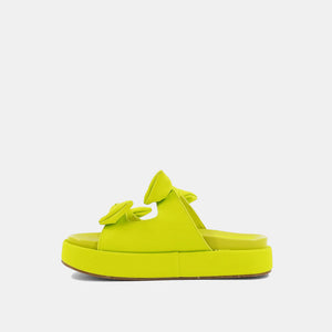 Lime KiKi Platforms